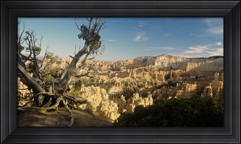 Framed Bryce Canyon E Print