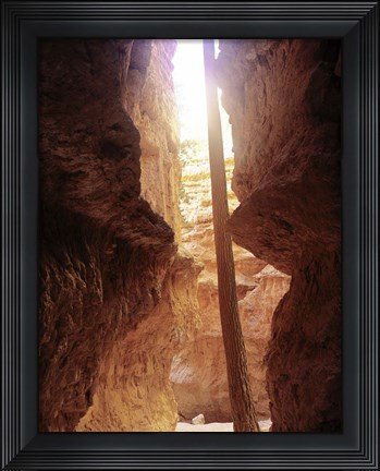 Framed Bryce Canyon M Print