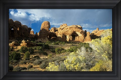 Framed Arches I Print