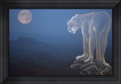 Framed Tiger And Full Moon Print