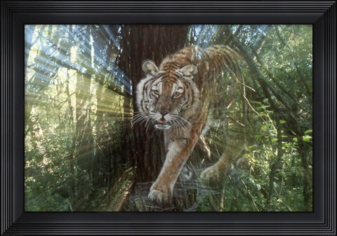 Framed Pursuit Print