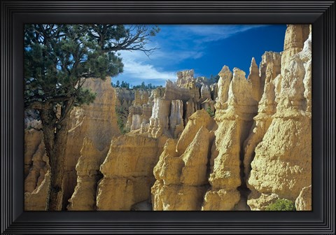 Framed Bryce Canyon F Print