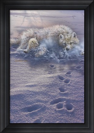 Framed Arctic Tracks Print