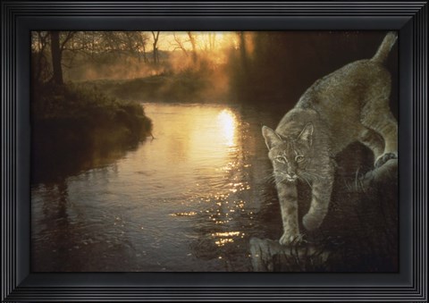 Framed Misty Water Morn Print