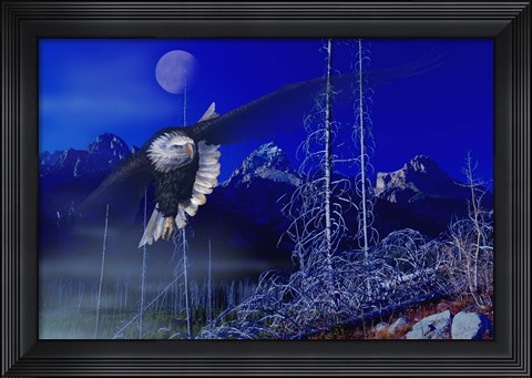 Framed Misty Moonlight Print