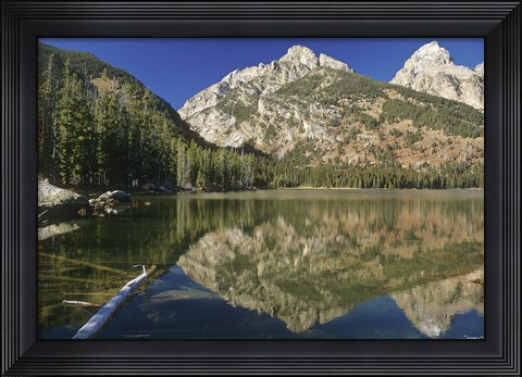 Framed Teton D Print