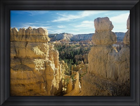 Framed Bryce Canyon B Print