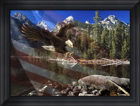 Framed Color Of Glory Print