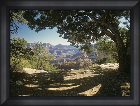 Framed Grand Canyon D Print