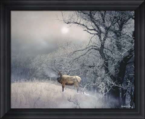 Framed Sanctuary Print