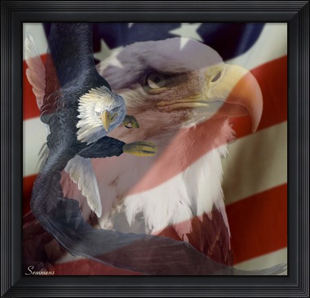 Framed Heritage 2 Print