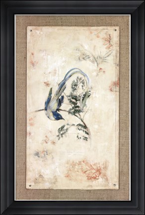 Framed Asian Paradise - Flycatcher Print