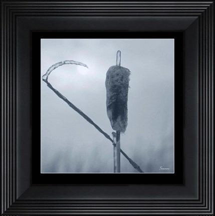 Framed Ice Cattail 2 Print