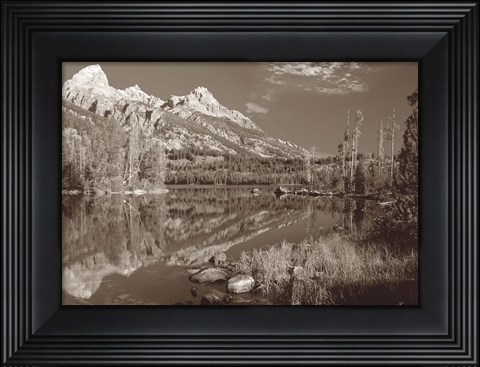 Framed Sepia Teton 1 Print