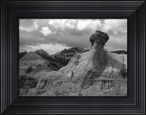 Framed Theodore Roosevelt National Print