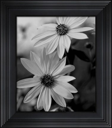 Framed Wildflowers 1 Print