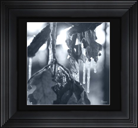 Framed Ice Branch 4 Print
