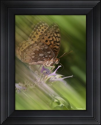 Framed Natural Motif XI Print