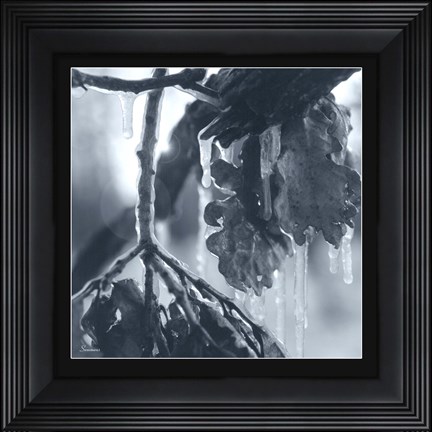 Framed Ice Branch 3 Print