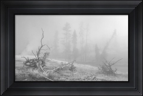 Framed Yellowstone 3 Print