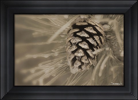 Framed Frosted Acorn And Pine Needles Print