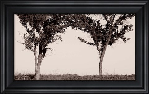 Framed Two Trees In Field Black And White Print