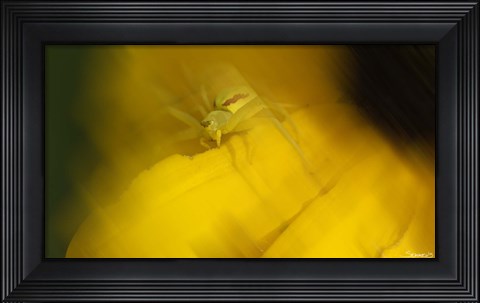 Framed Natural Motif VII Print