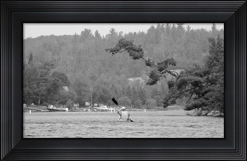 Framed Ash River 7 Print