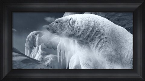 Framed Arctic Frost Print