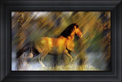 Framed Wild Horses in the Badlands II Print