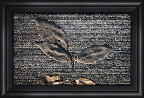 Framed Cement Autumn 1335 Print