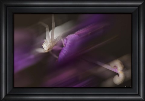 Framed Natural Motif IV Print