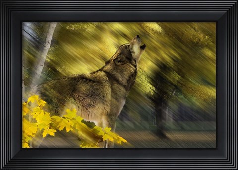 Framed Howling Wolf Print