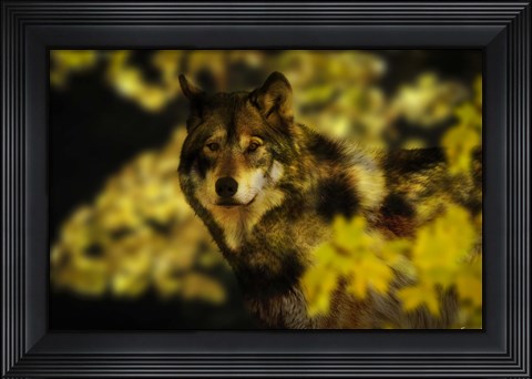 Framed Gold Shadows Print