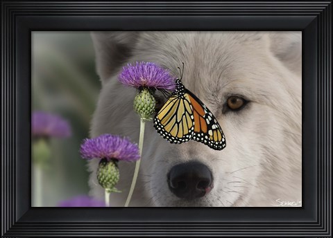 Framed Monarch and Wolf Print