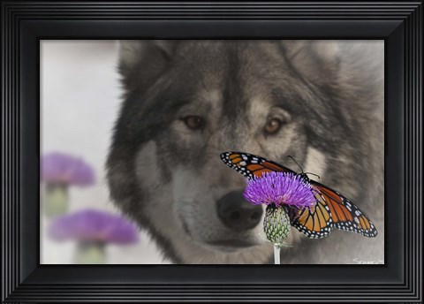 Framed Monarch and Wolf II Print
