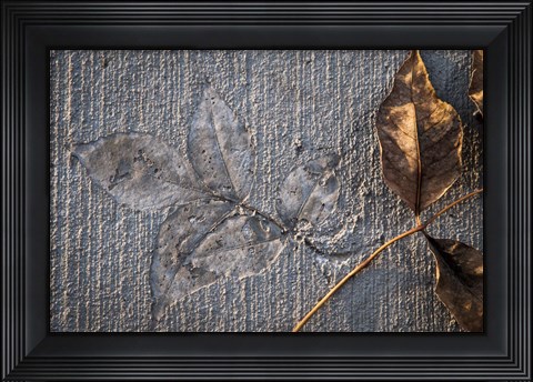 Framed Cement Autumn 139 Print