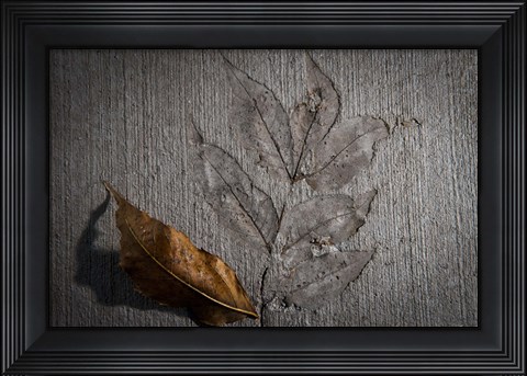 Framed Cement Autumn 1283 Print