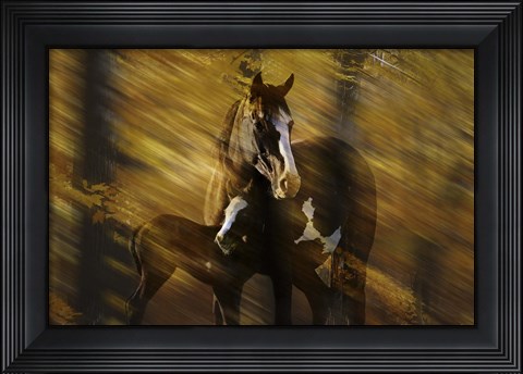 Framed Wild Horses in the Badlands I Print