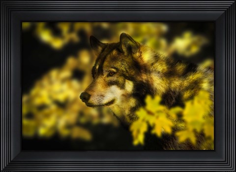 Framed Gold Shadows 2 Print