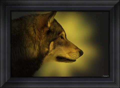 Framed Wolf Profile In Orange Fall Leaves Print