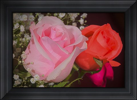 Framed Roses Pink And Red Print