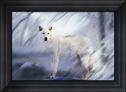 Framed River Wolf II Print