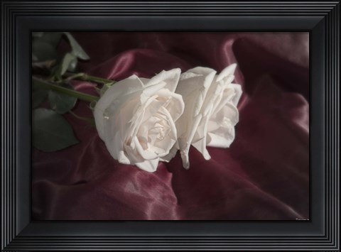 Framed White Rose Duo Print