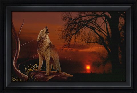 Framed Spirit And The Darkness Print