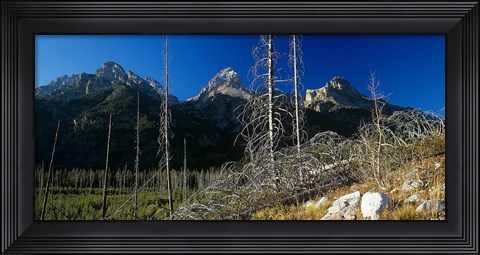 Framed Grand Teton 8 Print