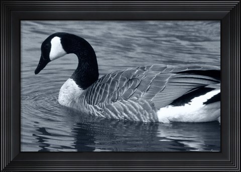 Framed S Goose Print