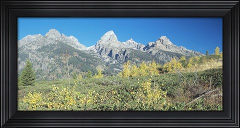 Framed Grand Teton 15 Print