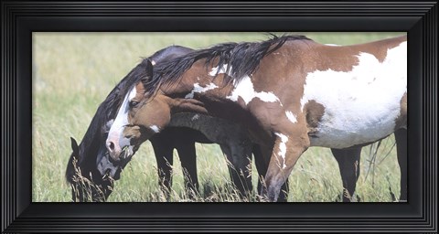 Framed Wild Horses 6 Print