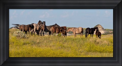 Framed Horses In Yellow Field Print